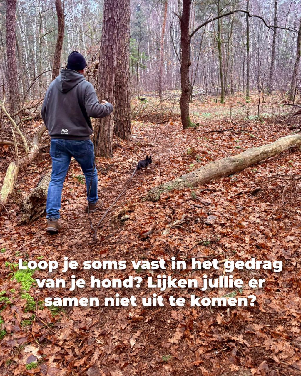 Een hond en begeleider verkennen rustig het bos